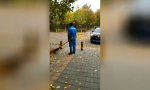 Lustiges Video : Doch wieder Überstunden...