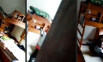 Funny Video - Hard-Life-Selbstausbildung
