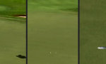 Funny Video : Gandalf dein Freund und Golfer
