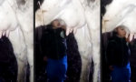 Funny Video - Frischer wird´s nicht