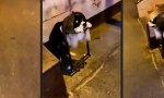 Movie : Spät nachts am Schaffot