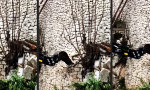 Funny Video : Kleine Ausbesserung