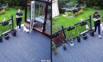 Funny Video : Schichtwechsel