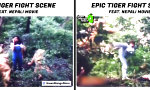 Lustiges Video : Weck den Tiger in Dir