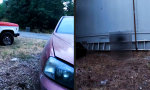 Lustiges Video : Zack und weg war er