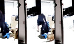 Funny Video - Der erste Streich