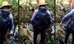 Funny Video : Eins mit dem Dschungel