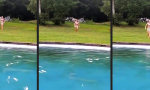 Funny Video - Mit Anlauf baden gehen
