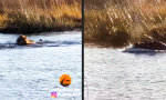 Lustiges Video : Nacktbaden wird geahndet
