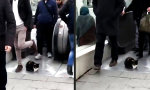 Lustiges Video : Chillen am Limit