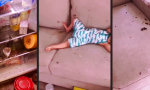 Lustiges Video : Erfolgreicher Zucker-Rausch