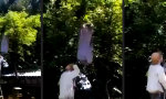 Lustiges Video : Der Bienenfänger