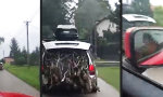 Lustiges Video : Das riecht nach Winter