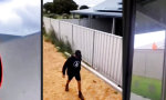 Lustiges Video : Firma Sisyphos in Down Under