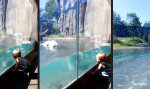Funny Video : Leichte schwere Beute