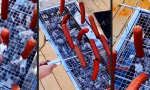 Funny Video - Hier geht´s um die Wurst