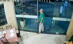 Lustiges Video : Gut zureden hilft manchmal