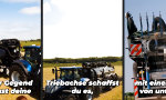 Dem Güllebaron kann keiner widersteh´n