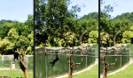 Affiger Parkour