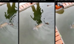 Lustiges Video : Versicherungskohle fischen