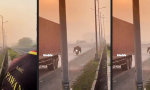 Lustiges Video - Batman unterwegs