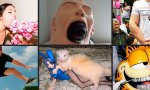 Pic : Donnerstag Fun PicDump #505