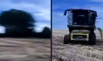Lustiges Video : Tarnung aufgeflogen