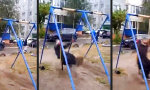 Lustiges Video : Wiedermal die Schaukel zu voll genommen