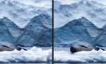 Funny Video : In der Hausnummer geirrt