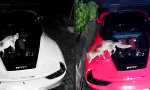 Funny Video : Scheiß auf Ferrari