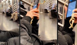 Funny Video : Nagelprobe am Smartphone