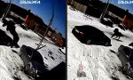 Lustiges Video : Mustang auf Mustang