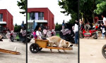 Lustiges Video : Eigener Grundschul-Chauffeur