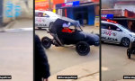 Funny Video : Rasende Rarität