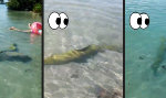 Funny Video : Im seichten Wasser planschen
