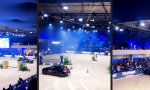 Lustiges Video : Noch nicht fit für die Manege