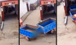 Funny Video - Alles voll im Griff