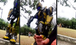 Go home, Bumblebee, you´re drunk