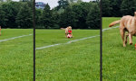 Lustiges Video - Mehr Ballgefühl als die Kreisliga