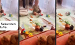 Lustiges Video - Die letzten Sekunden der Ruhe