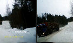 Lustiges Video : Russisches Roulette mit Stammholz