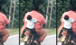 Lustiges Video : Leben am Limit