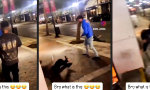 Street Fight Slapstick