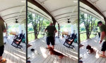 Lustiges Video : So richtig auf die Nüsse gehen