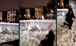 Lustiges Video : Feuerwerk schlägt zurück