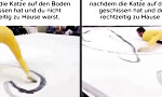 Die Kreisbahn der Verzweiflung