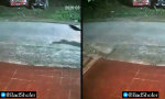 Lustiges Video : 5:33 Uhr. Irgendwas ist ausgebrochen.