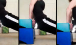 Der Personal Trainer hat vier Pfoten