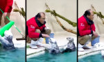 Der Otter als Praktikant