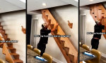 Lustiges Video - Tischlerkunst trifft Schwiegertöchter-Memes